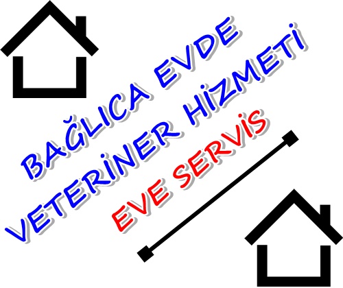 Ankara Bağlıca Evde Veteriner Hizmeti