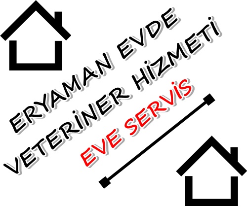 Ankara Eryaman Evde Veteriner Hizmeti